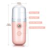 Portable Nano Facial Mist - Handy Steamer for Hydrating and Mist Hand Eyelash Extensions - 30ml USB Mist Handy Steamer for Facial Hydrating - light pi