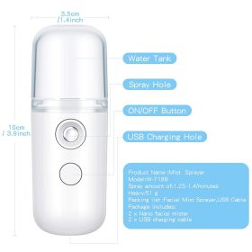 Portable Nano Facial Mist - Handy Steamer for Hydrating and Mist Hand Eyelash Extensions - 30ml USB Mist Handy Steamer for Facial Hydrating - White