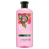 Herbal Essences Rose Hips Smooth Shampoo;  13.5 fl oz - Herbal Essences