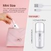 Portable Nano Facial Mist - Handy Steamer for Hydrating and Mist Hand Eyelash Extensions - 30ml USB Mist Handy Steamer for Facial Hydrating - light pi