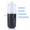 Portable Nano Facial Mist - Handy Steamer for Hydrating and Mist Hand Eyelash Extensions - 30ml USB Mist Handy Steamer for Facial Hydrating - light pi